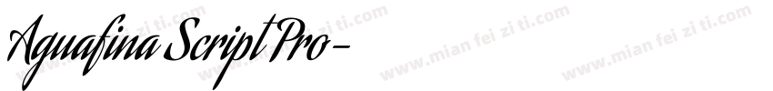 Aguafina Script Pro字体转换